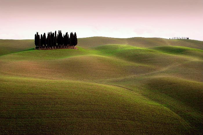 Immagine 'Politiche per il paesaggio', oggi il punto su quanto è stato fatto in Toscana